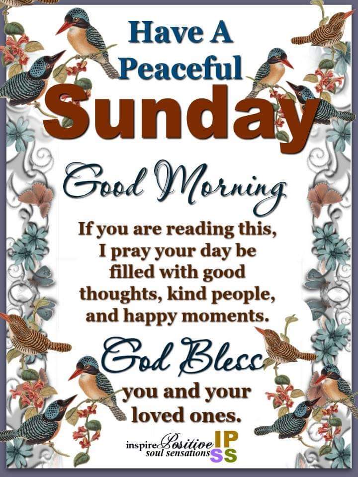 centre_haven's tweet photo. Good Morning.  Happy Sunday.  Hope you have a lovely day. 💜 https://t.co/fN3FckpCCL