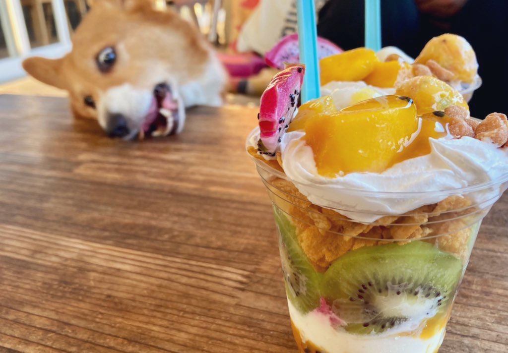 Tweets With Replies By すえぼん 3 Suekichi3 Twitter