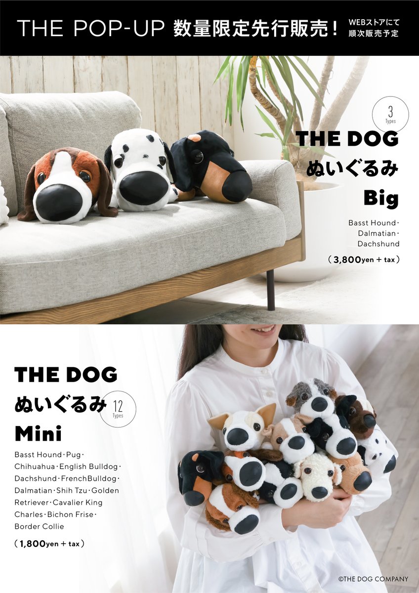 The Dog And Friends Thedog Official Twitter