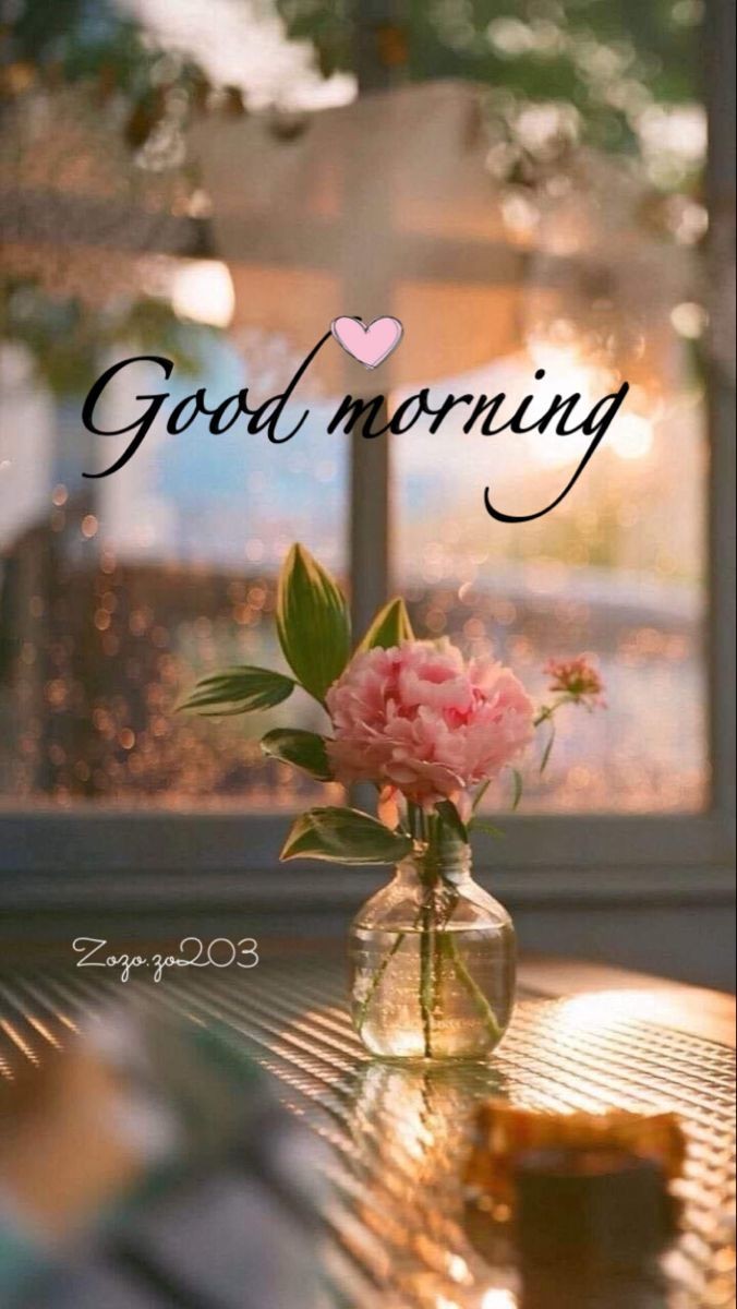 LinaNuqul's tweet photo. Blessed day 🙏 https://t.co/mq4m5xNYS7