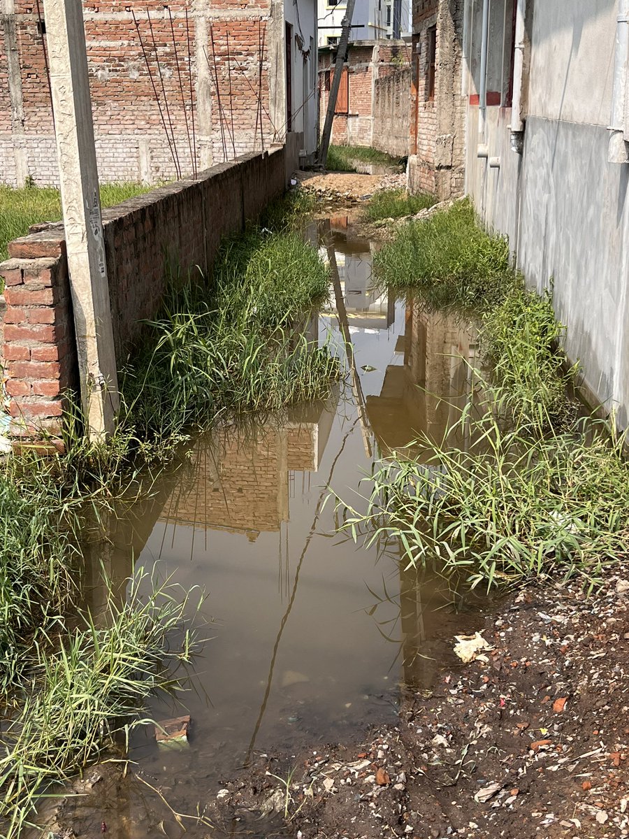 Surajs7894's tweet photo. @yadavtejashwi @RCD_Bihar @UDHDBIHAR @kumravi   There is no proper road constructed in my area in Bairiya,Patna. Please check on your own. Loc : https://t.co/0mvmVYYoBO Please help. I am ready to bear half cost if govt helps. https://t.co/1XsMeas0BG