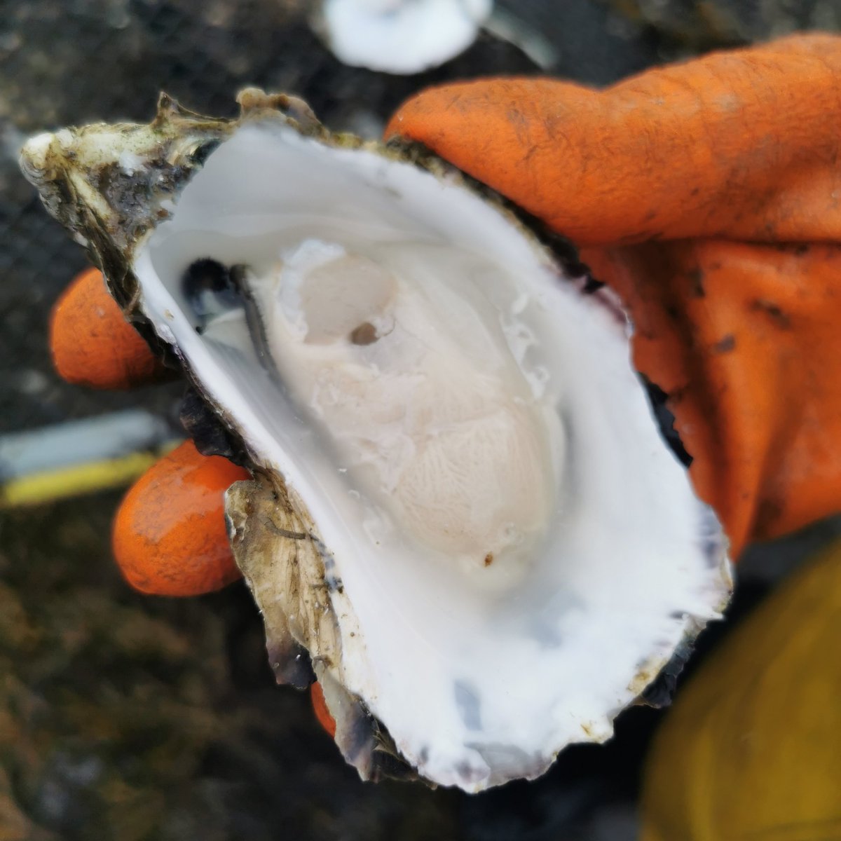 Tours continue into the Autumn Saturday and Sunday