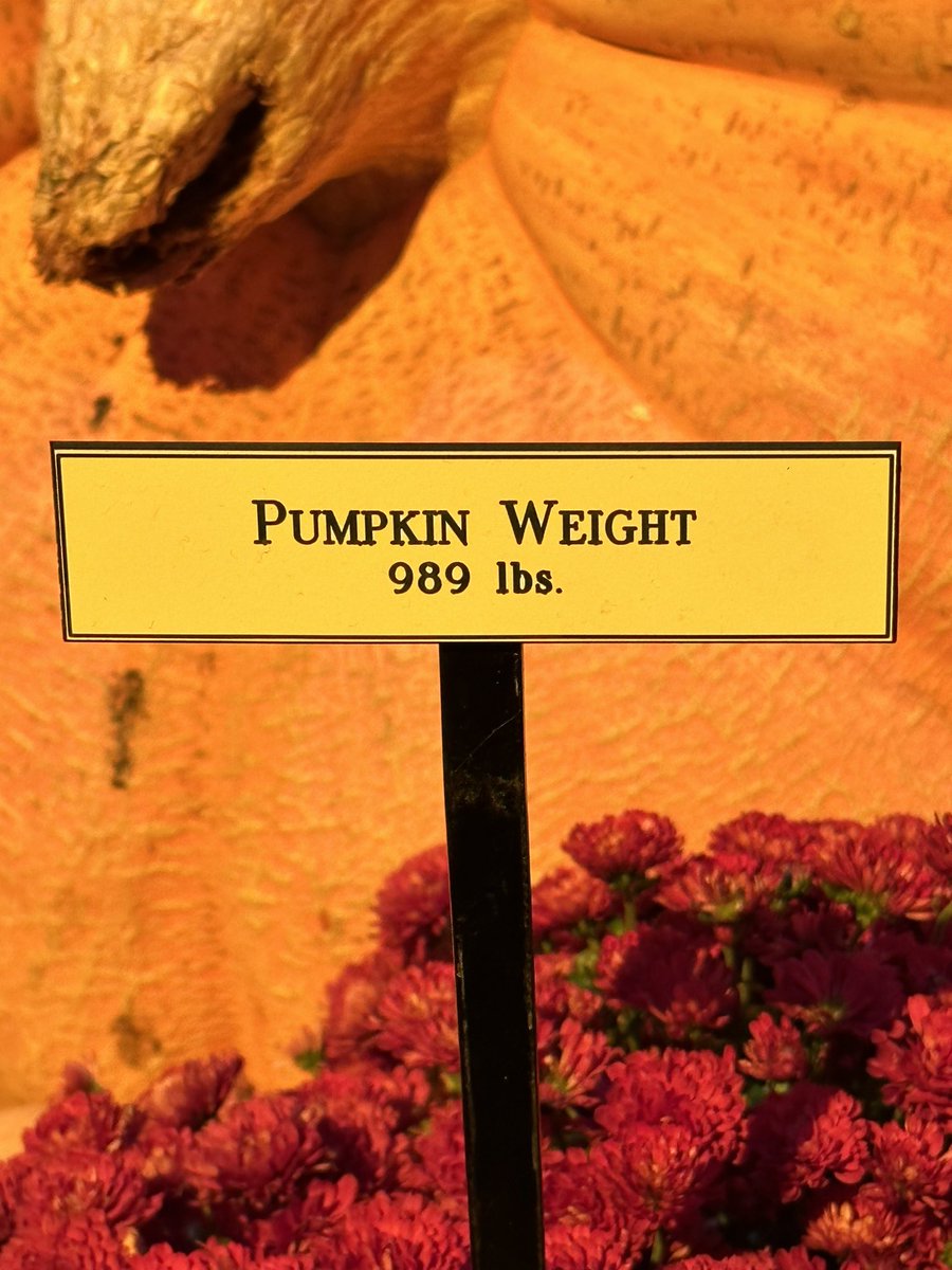 LisaJSmith's tweet photo. Beautiful places, beautiful things and places that smell amazing! I LOVE going to see the new designs at the Bellagio every season. Truly incredible.  #Bellagio #lasvegas #vegas #staycationday #fallcolors #fallsmells https://t.co/gsm6cL3lx1
