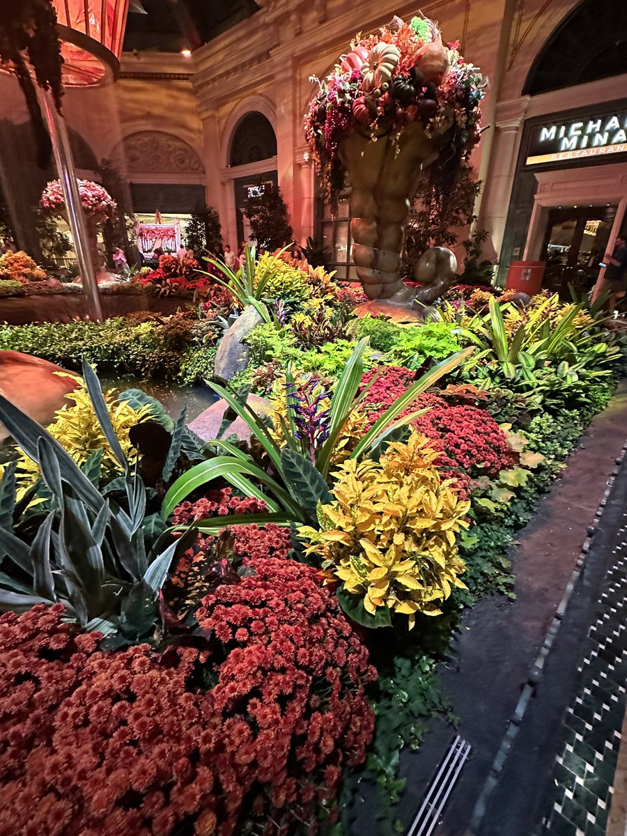 LisaJSmith's tweet photo. Beautiful places, beautiful things and places that smell amazing! I LOVE going to see the new designs at the Bellagio every season. Truly incredible.  #Bellagio #lasvegas #vegas #staycationday #fallcolors #fallsmells https://t.co/gsm6cL3lx1