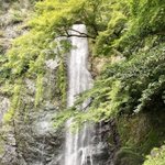 ツイートに含まれる画像