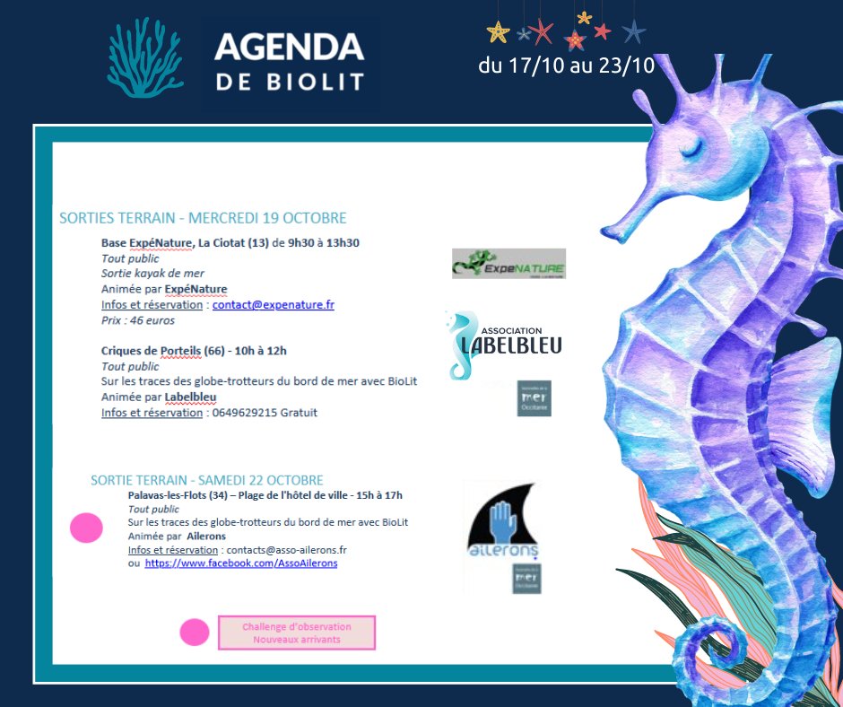 PlaneteMer's tweet photo. 🌊Les sorties #BioLit de la semaine prochaine
Retrouvez sur le littoral les relais locaux de #BioLit pour des sorties riches en découvertes !
@expenature
@AssoAilerons et #Labelbleu
Pour vous inscrire aux sorties, contactez les relais 📝👉https://t.co/MPF6yGvDv4 https://t.co/aLm4xLuDKA