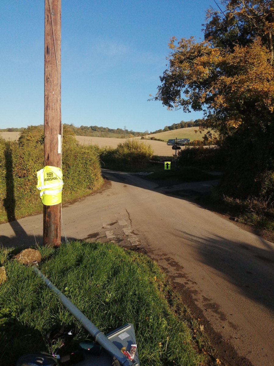 In position but a bit shy this early in the morning 🦖😂