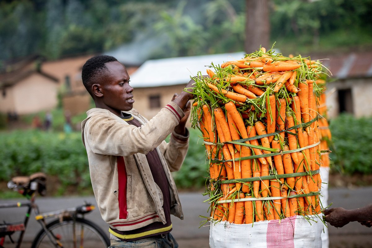 SwissTPH's tweet photo. On #WorldFoodDay, we celebrate the community members in Rubavu, Rwanda, who are an integral part of the #NICEProject aiming to improve nutrition of people in Rwanda, Bangladesh &amp; Kenya.

@ETH_en @SightandLife @SyngentaFDN @SwissDevCoop 

📸@kayibanda_alice/Swiss TPH/@fairpicture https://t.co/NGbKolSppk