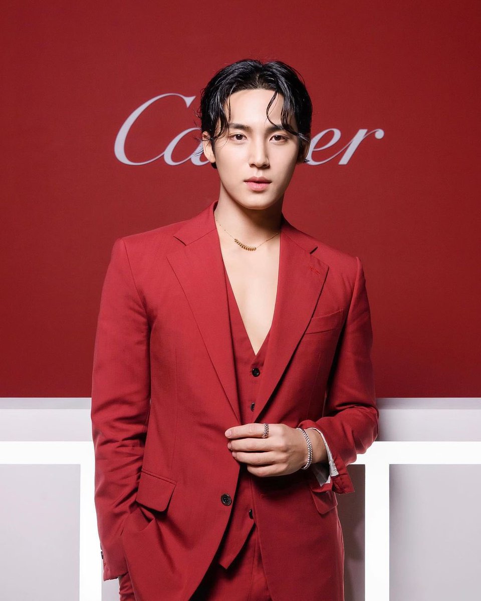MINGYU (@kimdmingyu) / Posts / X