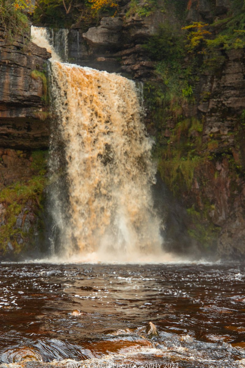 peachparking's tweet photo. Full Force
Thornton Force Falls in full flow last Sunday on the Ingleton Waterfalls Trail
#ingletonwaterfallstrail #waterfalls #thorntonforce #yorkshiredales https://t.co/ZKZeqqfHuk