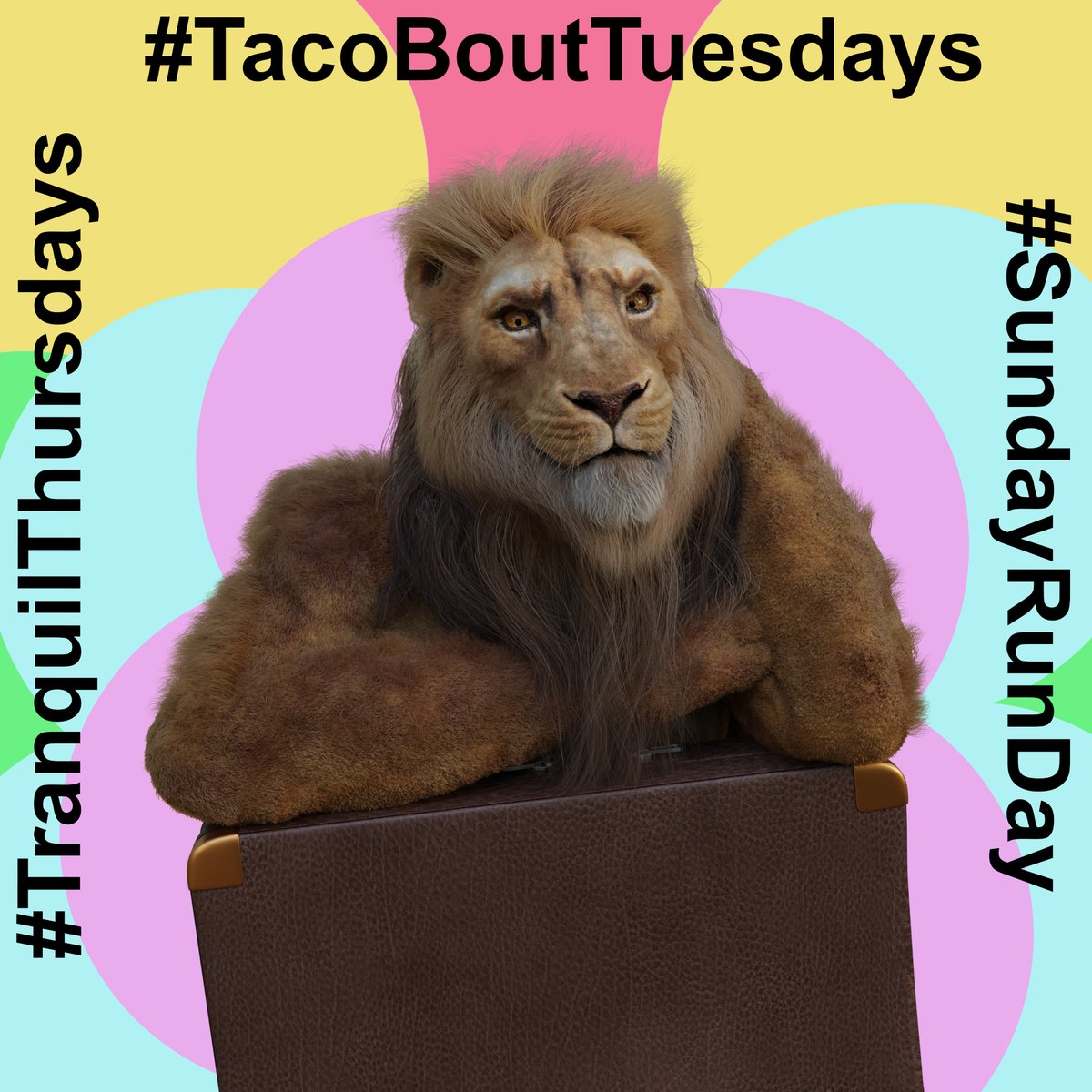 PantheraLeoNFT's tweet photo. 🚨Weekly Wellness Competition! 
Prioritising your physical &amp; mental well-being 

#TacoBoutTuesdays
- Healthy food; Wealthy mood

#TranquilThursdays
- Because you're worth it

#SundayRunDay
- Sunday Funday 2.0

Join our Discord https://t.co/rjrH8PPS6J to participate &amp; earn prizes! https://t.co/QjoGfpuwCG