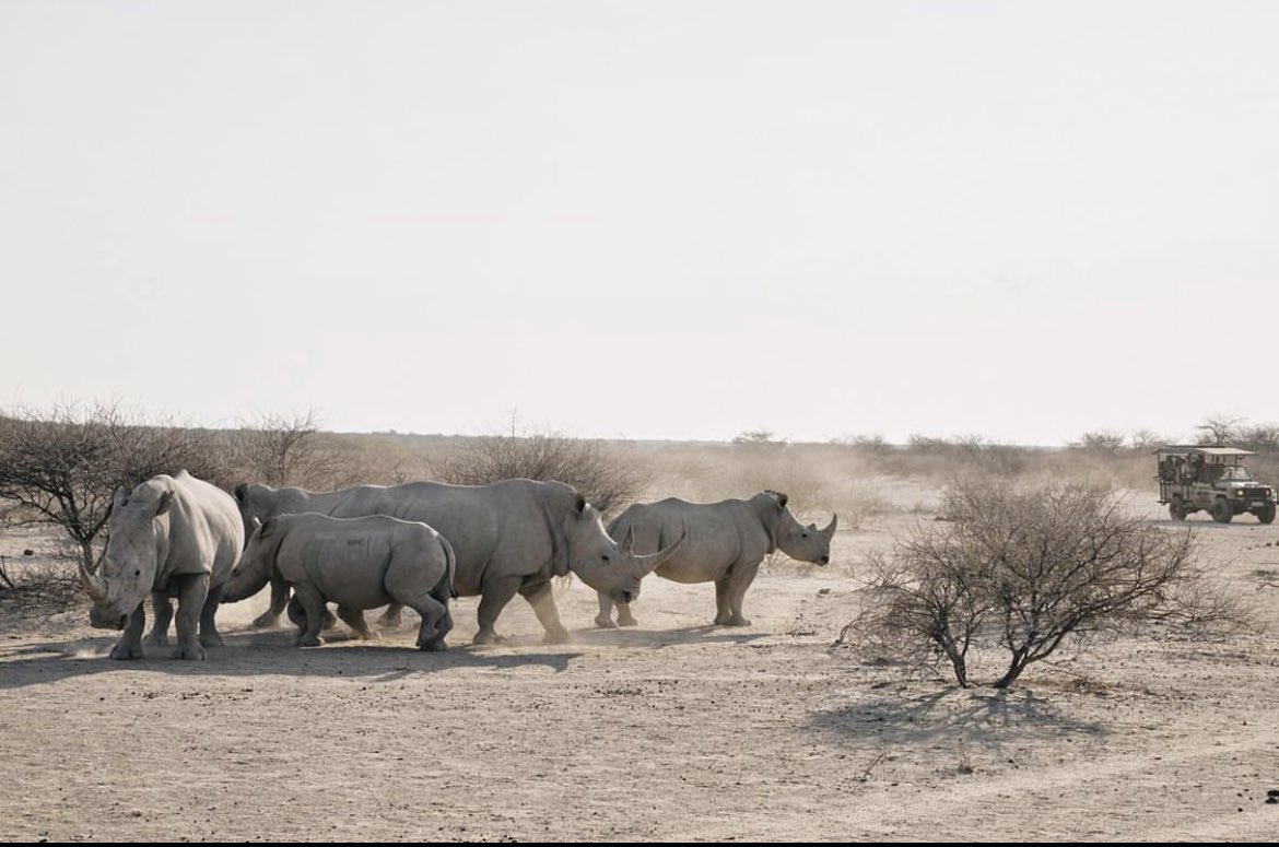 lilyjamesIT's tweet photo. lilyjamesofficial: “ I've been awestruck by the natural beauty and the vibrant communities l've seen in Botswana. To know so much of this land-over 1,000 square miles globally is protected by the natural diamond industry makes me incredibly proud to be @onlynaturaldiamonds [..] https://t.co/13SnVTGuxe