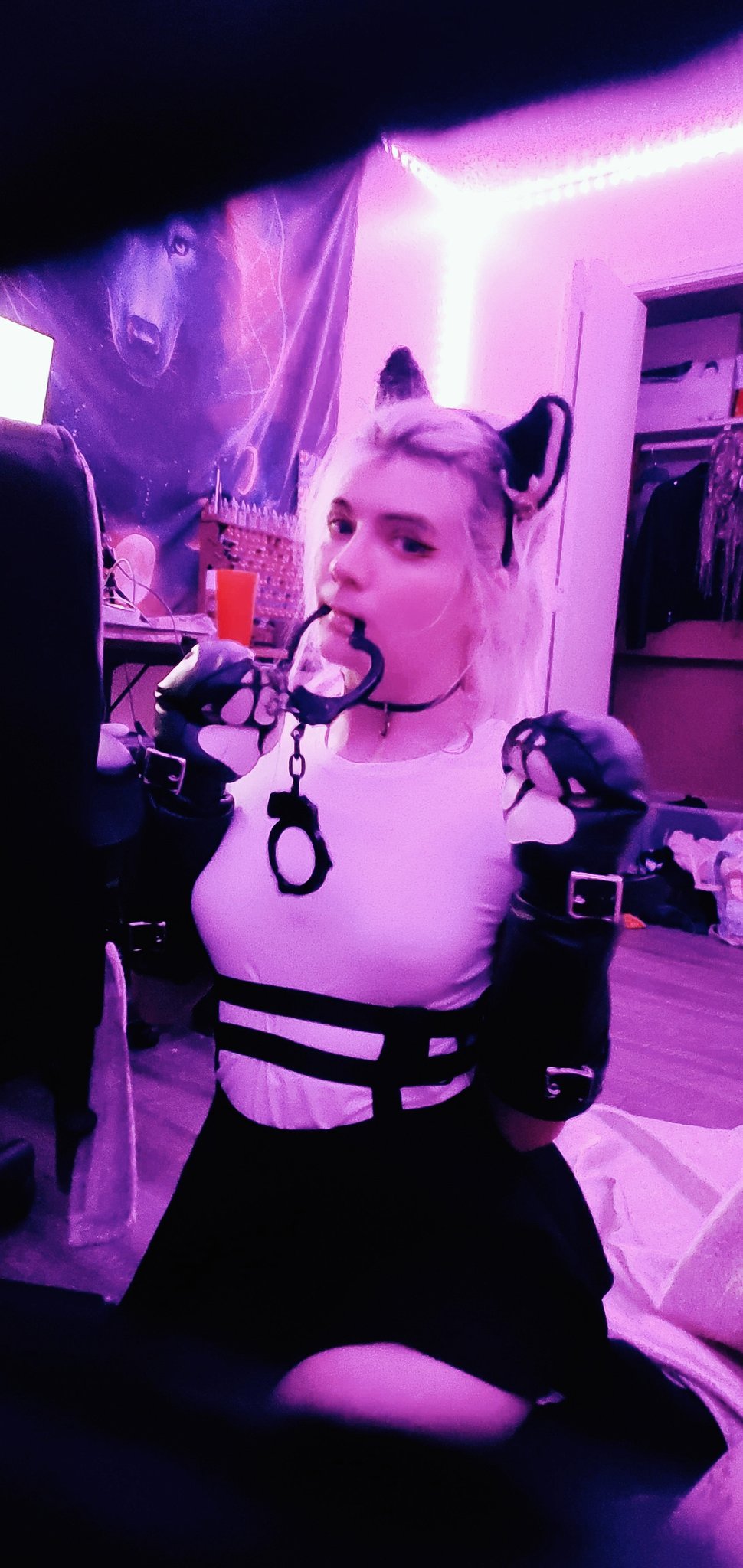 Joytoy on Twitter: "talented kitty. knows so many crazy tricks https://t.co/EJgLSBgxp7" / Twitter