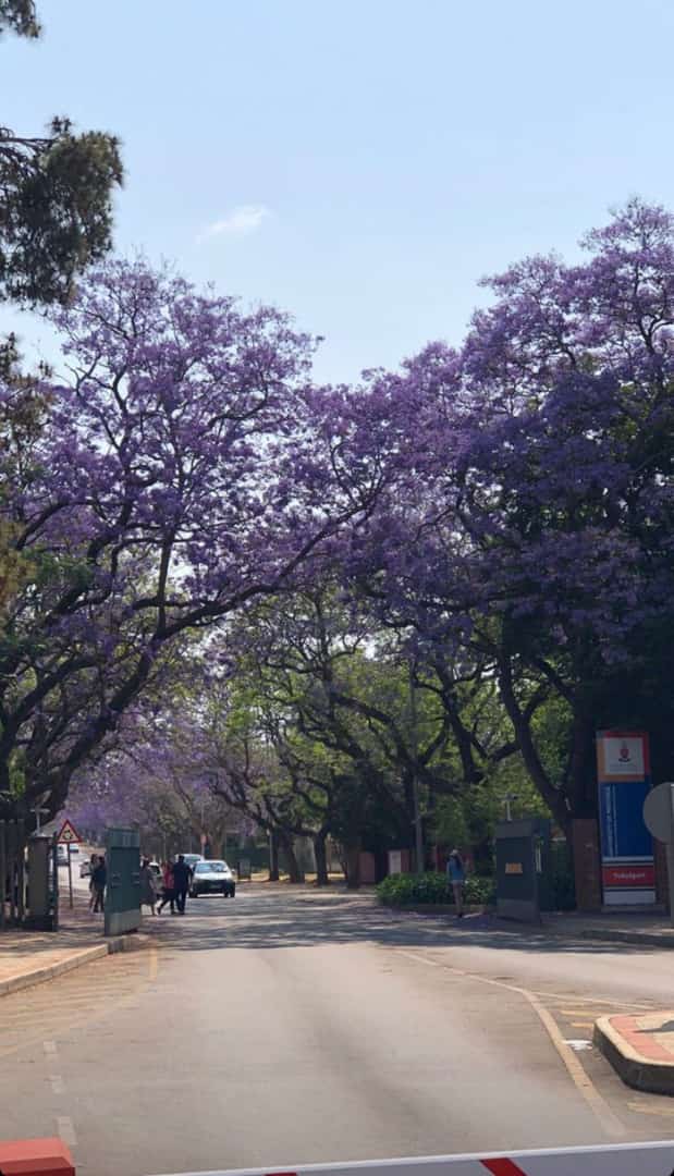aprilsiphiwe's tweet photo. @jacarandafm #JacarandaEverywhere @jacarandafm 🟪🟣💜 https://t.co/91vBRSnYoO