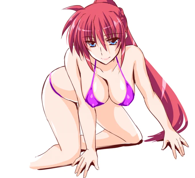 シグナム姉さん。後ろ、隙ありですぞ! 