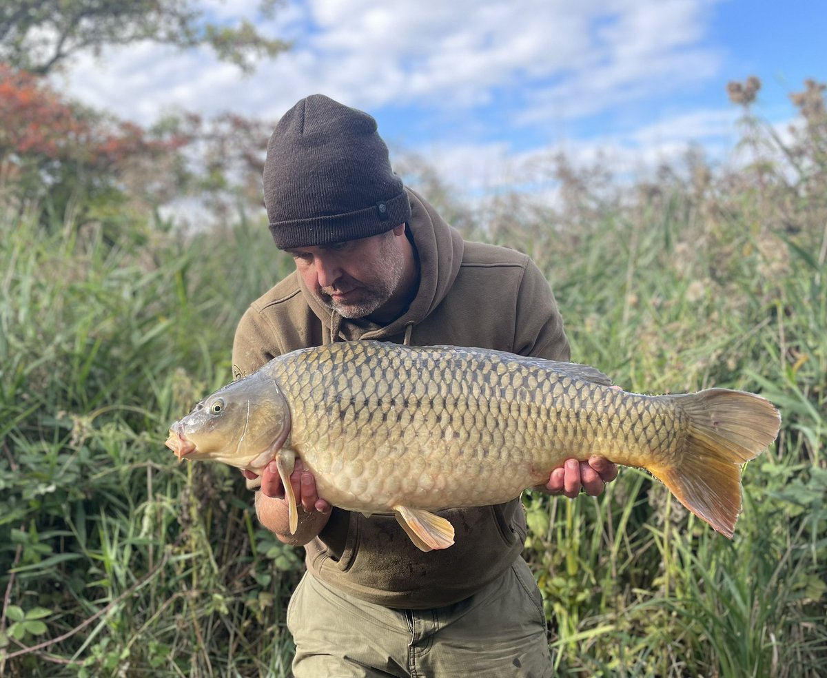 Jay.Cook (@jasonfantana71) on Twitter photo 