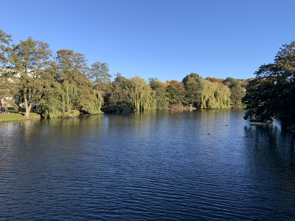 Lyes Kahouadji tweet media