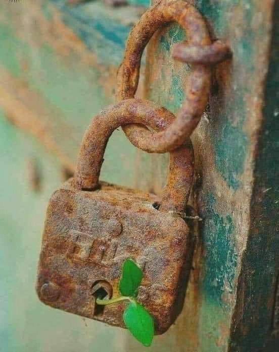 اللهم اجعل هذا الصباح صباح خير لا يضيق لنا فيه صدر ولا يخيب لنا فيه أمر، واجعل لنا بكل خطوة توفيق وتيسير وأجر.. 💜
#صباح_الخير