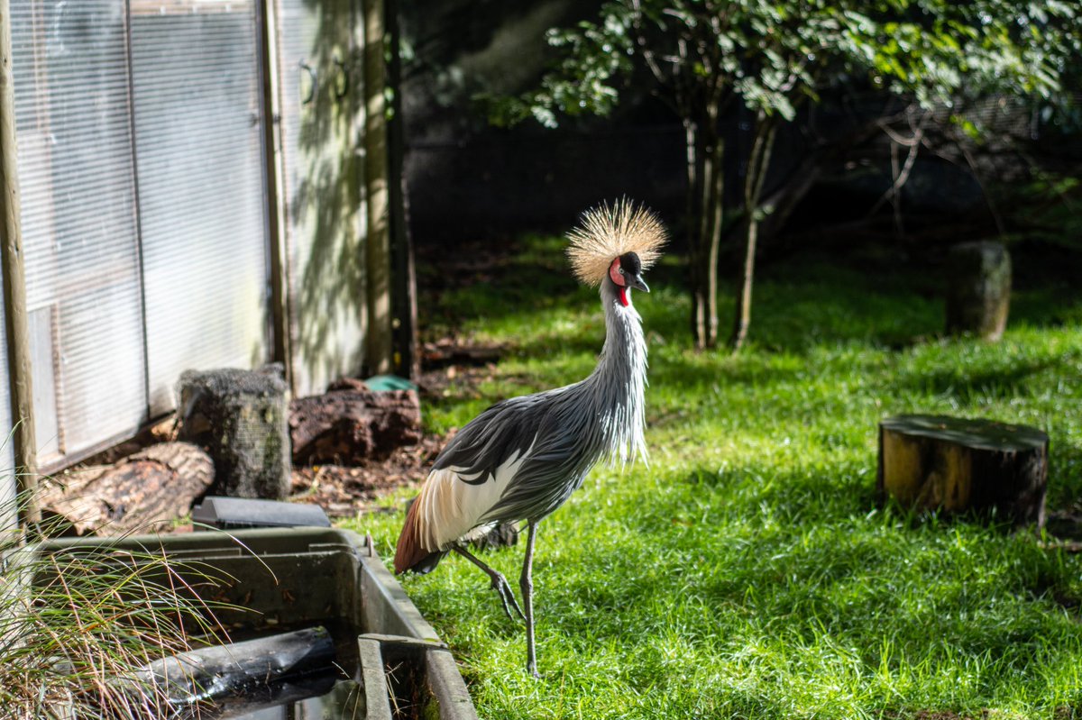 #edinburghzoo 🏴󠁧󠁢󠁳󠁣󠁴󠁿🏴󠁧󠁢󠁳󠁣󠁴󠁿