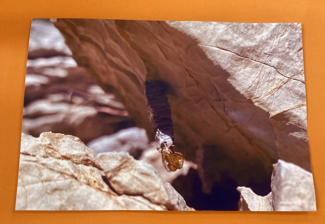 BSM Year 5 tweet media