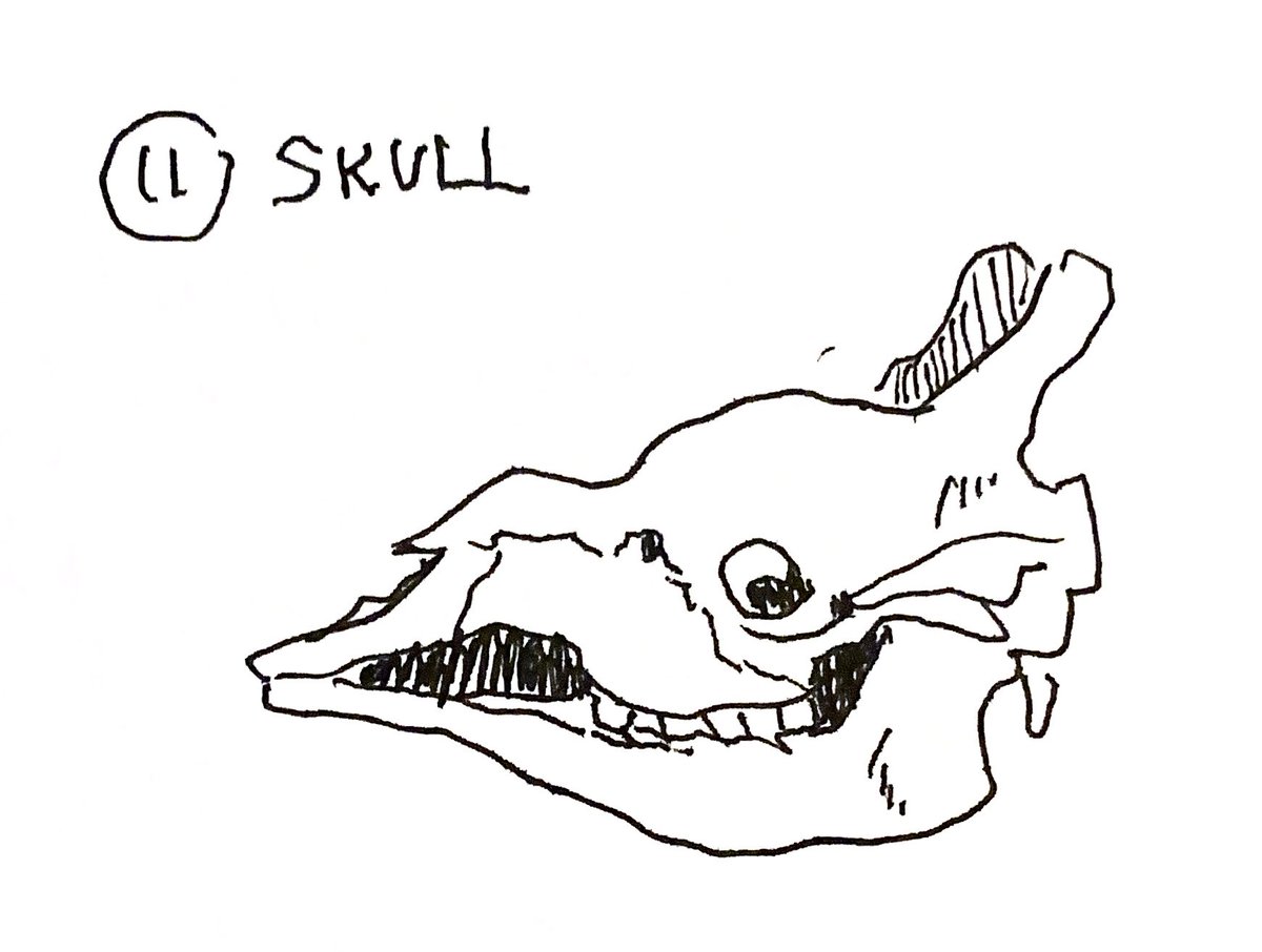triple threat!!! in order
day 11: giraffe skull, pretty happy w this one
day 12: hmm… i wonder what it could be………
day 13: one of my favorite beanie babies as a kid. cheezer :) 
