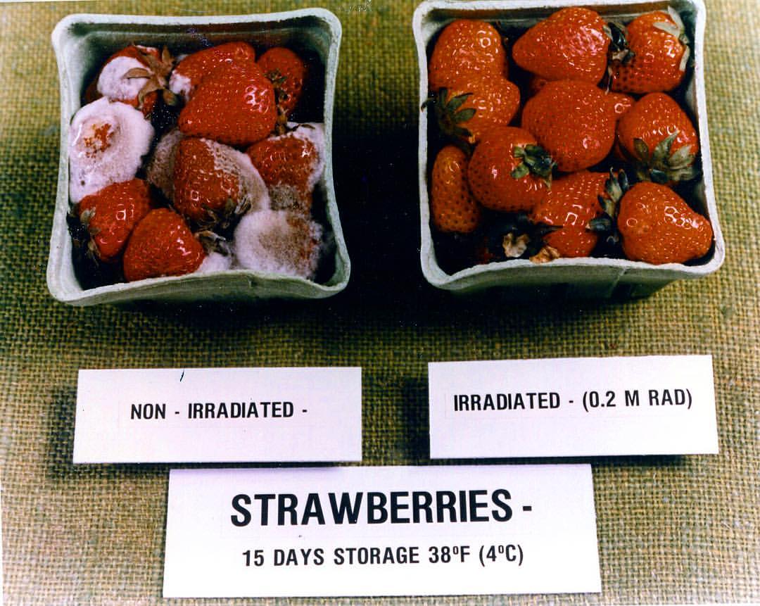 🍓 Radiation destroys disease-carrying bacteria &amp; reduces the chances of food-borne illnesses, all while keeping the same taste, texture, and look. It also doesn’t leave any sort of #radiation residues. bit.ly/2RJh5kz #WorldFoodDay