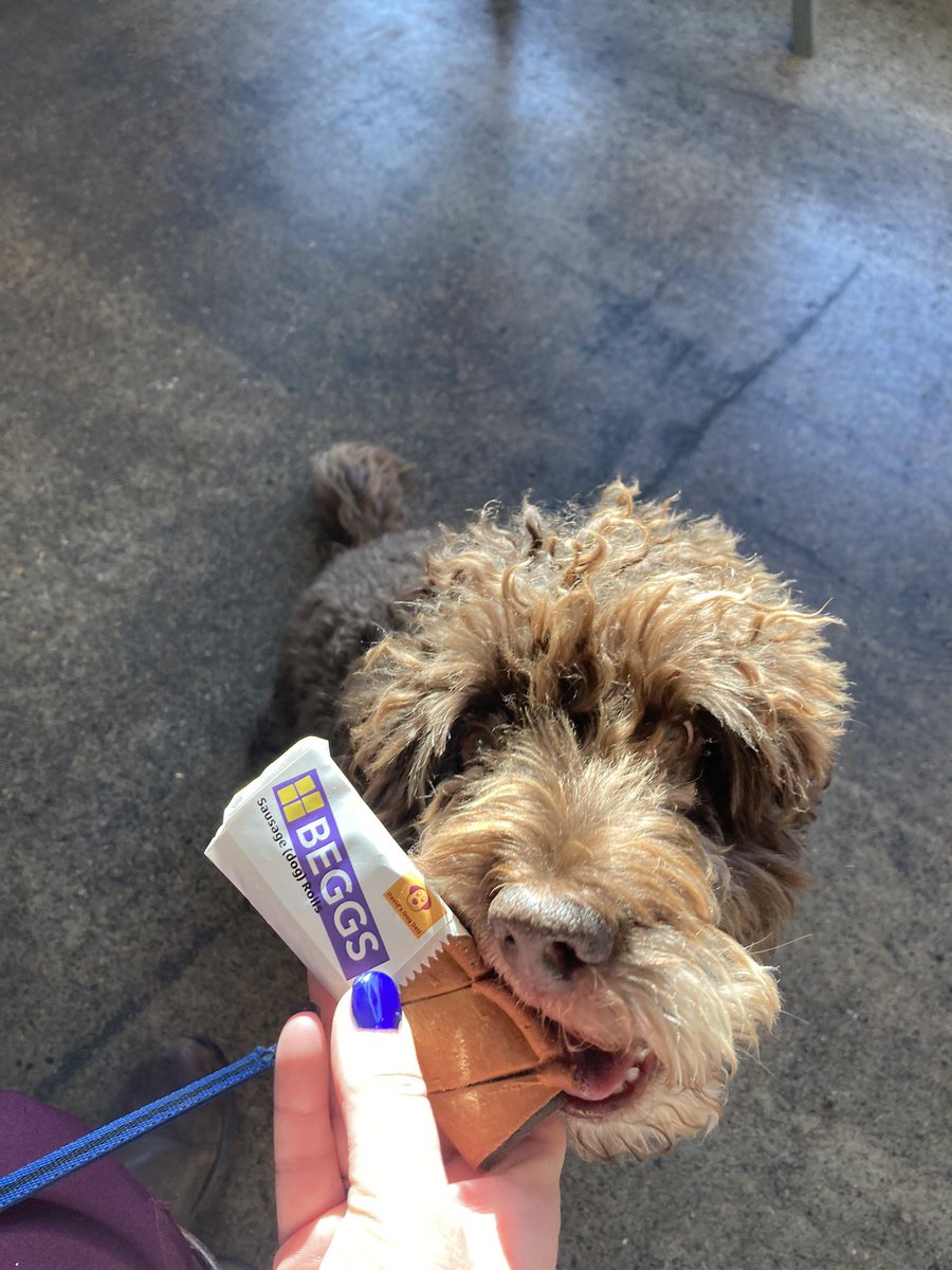 Sarah Yates tweet media