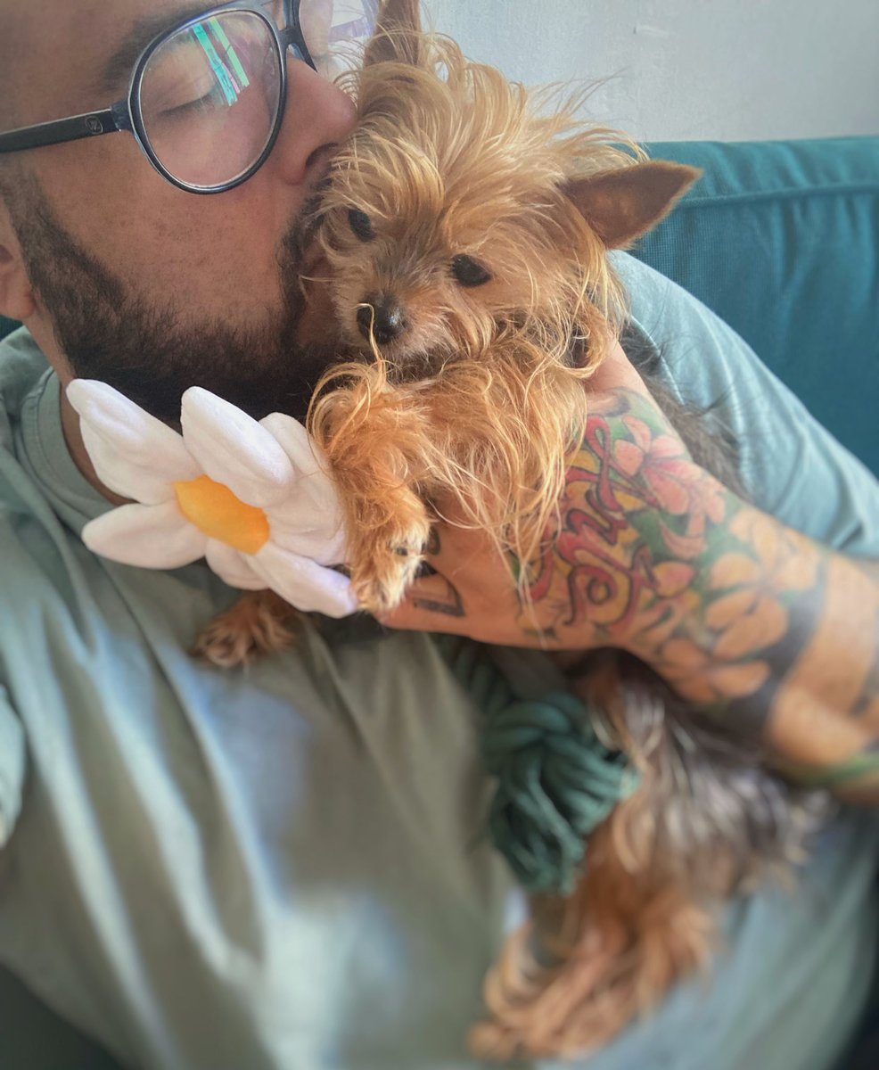 soymolioficial's tweet photo. La luz de mi vida ✨ #playacoco #music #perros #love https://t.co/k90DFGfJS4