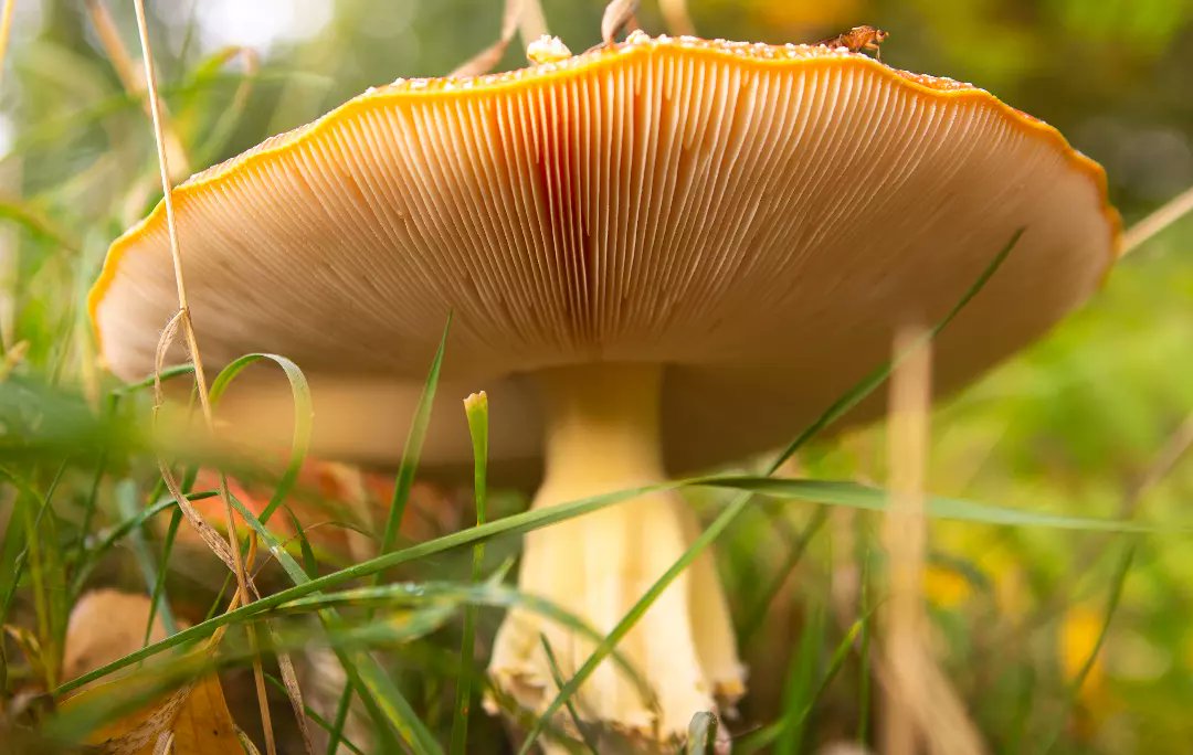 DPvanLoo's tweet image. #fotochallenge