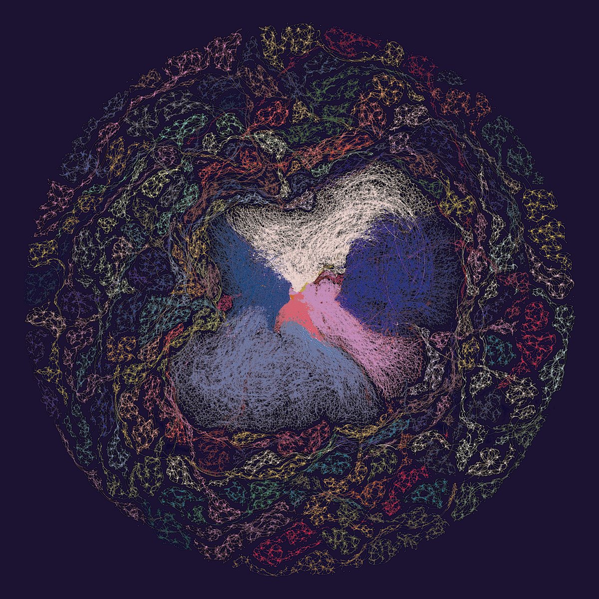 Frog÷xyz tweet media