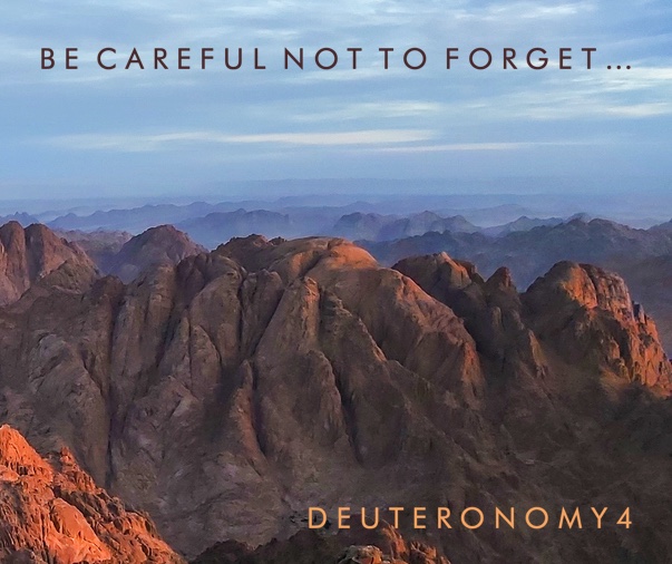 Trinityislingtn's tweet photo. Come along to Trinity this afternoon. We’re continuing in our series on Deuteronomy, with chapter 4 today. It’s a great reminder not to forget our God or his covenant. Come for cake from 4pm and we’ll be sharing the Lord’s Supper in our time together. https://t.co/swyTOTclAQ