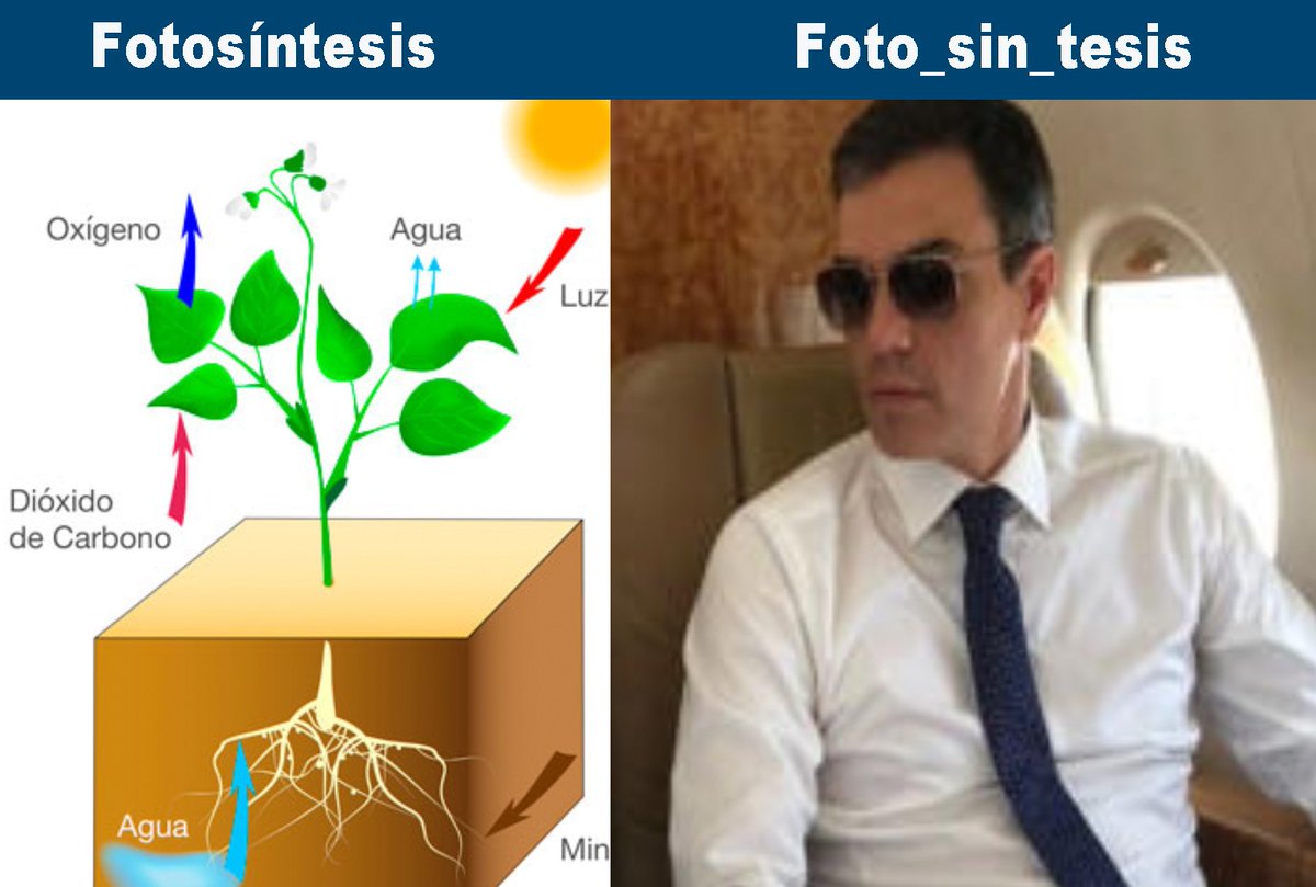 DrStrangeisback's tweet photo. Buenos días, hoy veremos la diferencia entre botánica y socialismo.
#PedroSánchez
#PedroSánchezElMentiroso
#PedroSánchezEgólatra
#AdiosPedro
#GobiernoTerminado
#GobiernoCriminalCorruptoyMentiroso
#SocialComunismo https://t.co/k5gzJLJ5KM
