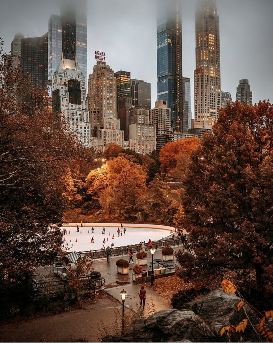 Central Park, New York City ✨🍂❄️🍂✨ ©️valera. nyc.