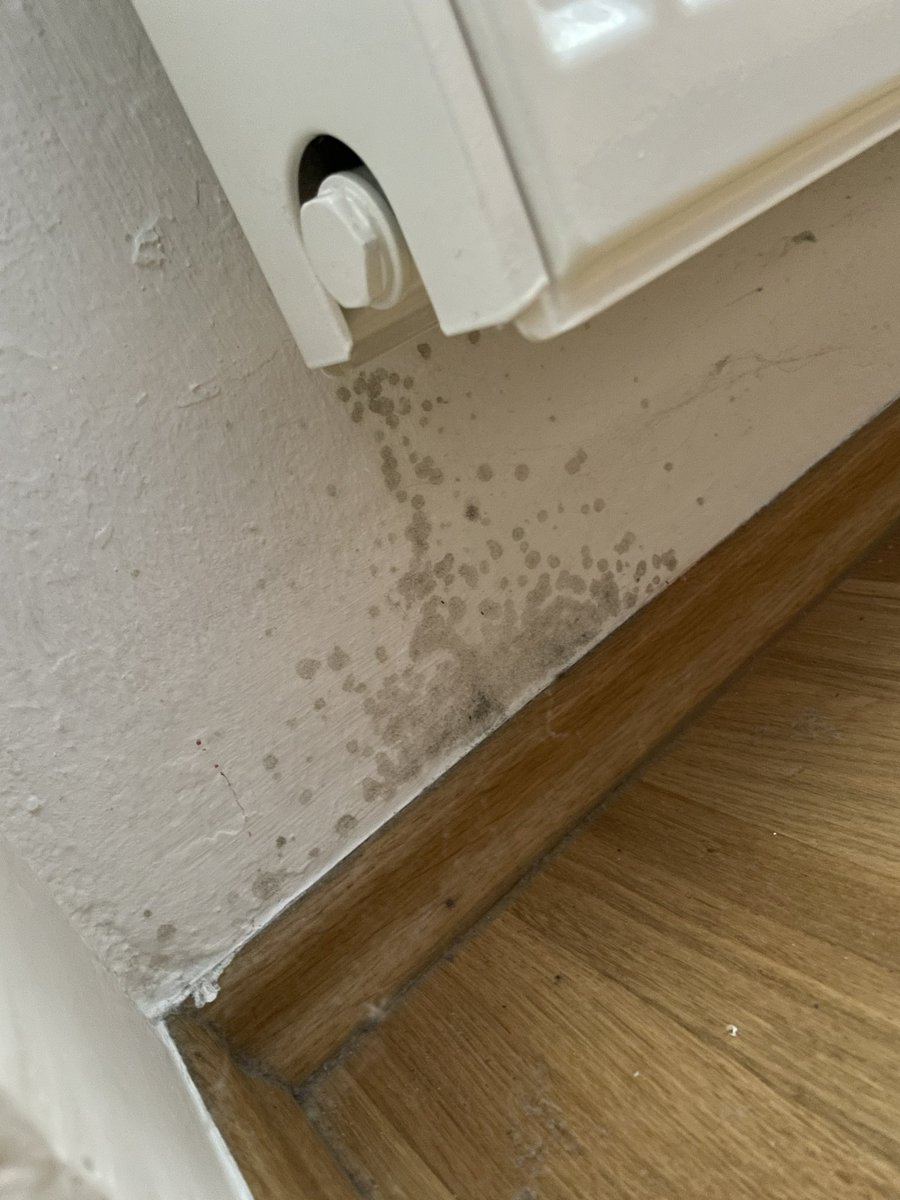 Zwofi's tweet photo. Gerade eine erschreckende Entdeckung im Schlafzimmer, hinter dem Heizkörper gemacht. 😔 #Nichtheizen ist halt doch nicht immer gut?!? 🤷🏼♀️😔 https://t.co/YfiIRXOYvD