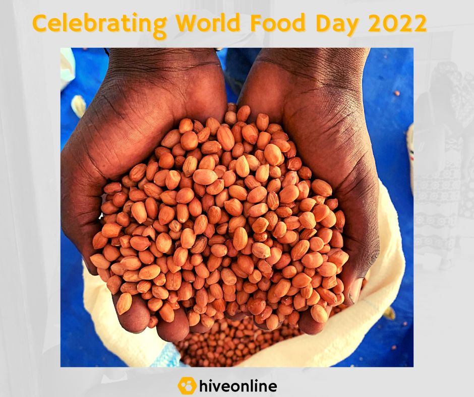 On this #WorldFoodDay2022 🌽, we'd like to thank the farmers &amp; strategic partners who have helped to promote sustainable food systems through hiveonline's platforms &amp; support our goal of achieving the UN SDG of Zero Hunger by 2030

Request a demo today → hivenetwork.online/request-a-demo/