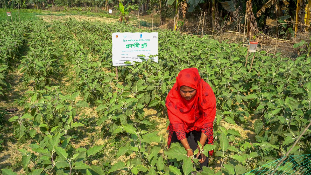 Rohingya Refugee Response tweet media
