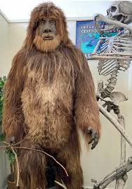 CryptoLoren's tweet image. We need your support as we move our entire International Cryptozoology Museum. 
If you are a millionaire or have property and can back the signing of our loan. Step forward. Volunteer to help us obtain funding or paint walls. Let me, @CryptoLoren, hear from you. I’m easy to find.