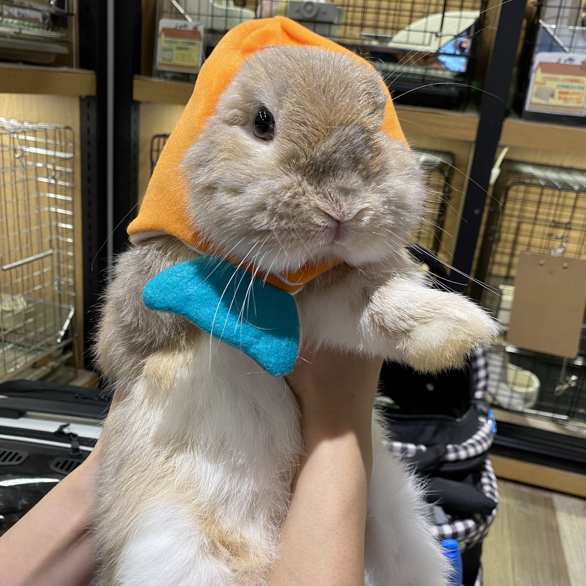 非売品】朝陽亭 あさひくん ぬいぐるみ