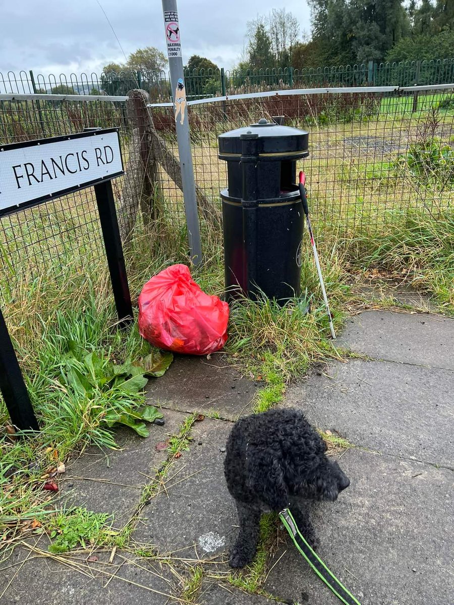 BlackburnTidy's tweet photo. Getting out in #nature is so important as the days draw in. Seasonal delights await!
A bit of litter picking helps everything.
162 bags collected this week whilst #dogwalking #wandering #nattering https://t.co/ihJr5ZKPSR