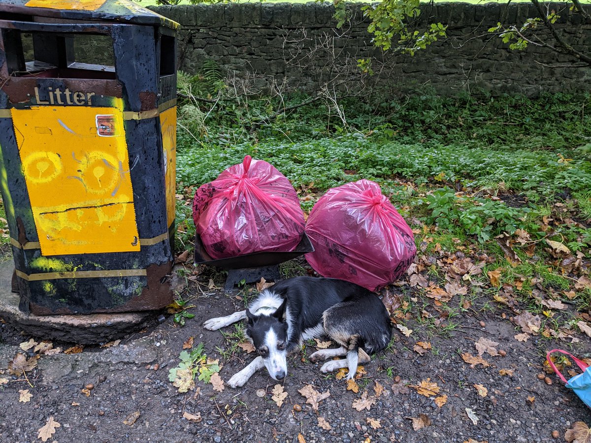 BlackburnTidy's tweet photo. Getting out in #nature is so important as the days draw in. Seasonal delights await!
A bit of litter picking helps everything.
162 bags collected this week whilst #dogwalking #wandering #nattering https://t.co/ihJr5ZKPSR