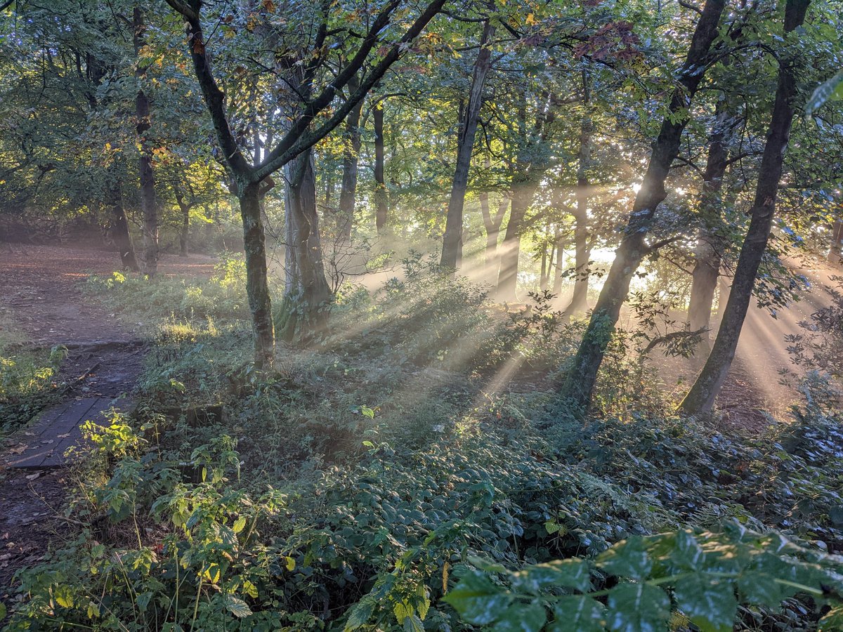 BlackburnTidy's tweet photo. Getting out in #nature is so important as the days draw in. Seasonal delights await!
A bit of litter picking helps everything.
162 bags collected this week whilst #dogwalking #wandering #nattering https://t.co/ihJr5ZKPSR