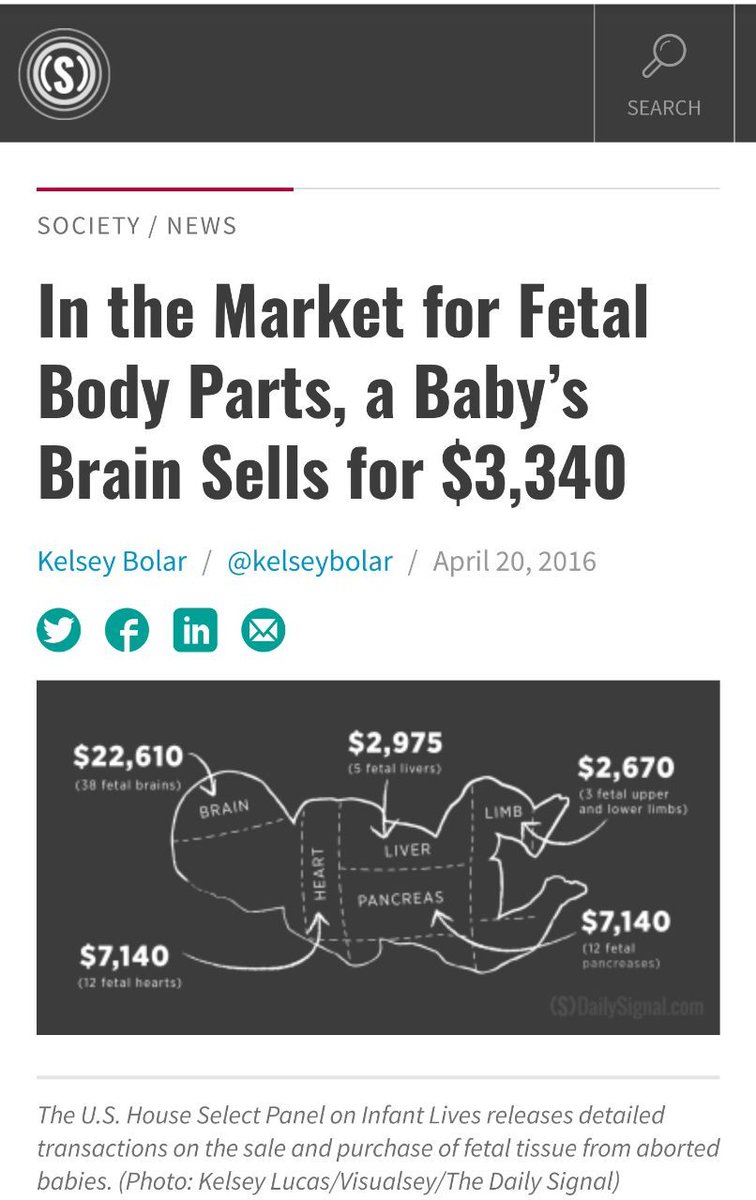 lidijad's tweet photo. This is horrific https://t.co/QDnEQP6jz1