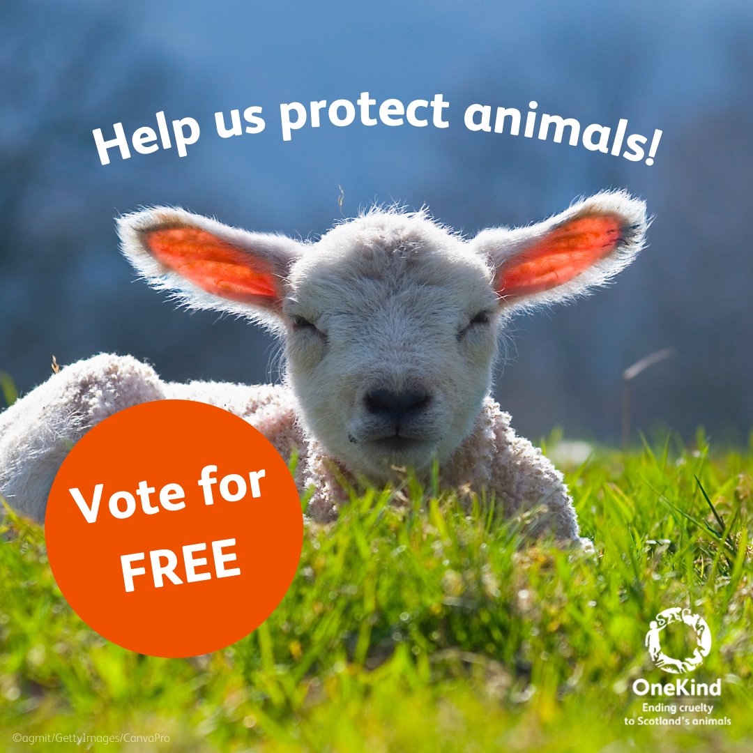 We're fresh into a new @MyGivingCircle grants round & we need your help to get into the top 10! We are so grateful to all who helped us win a grant last round 🧡 Vote for FREE here & help us win funds to protect animals!⬇️ #AnimalWelfare #AnimalCharity mygivingcircle.org/onekind