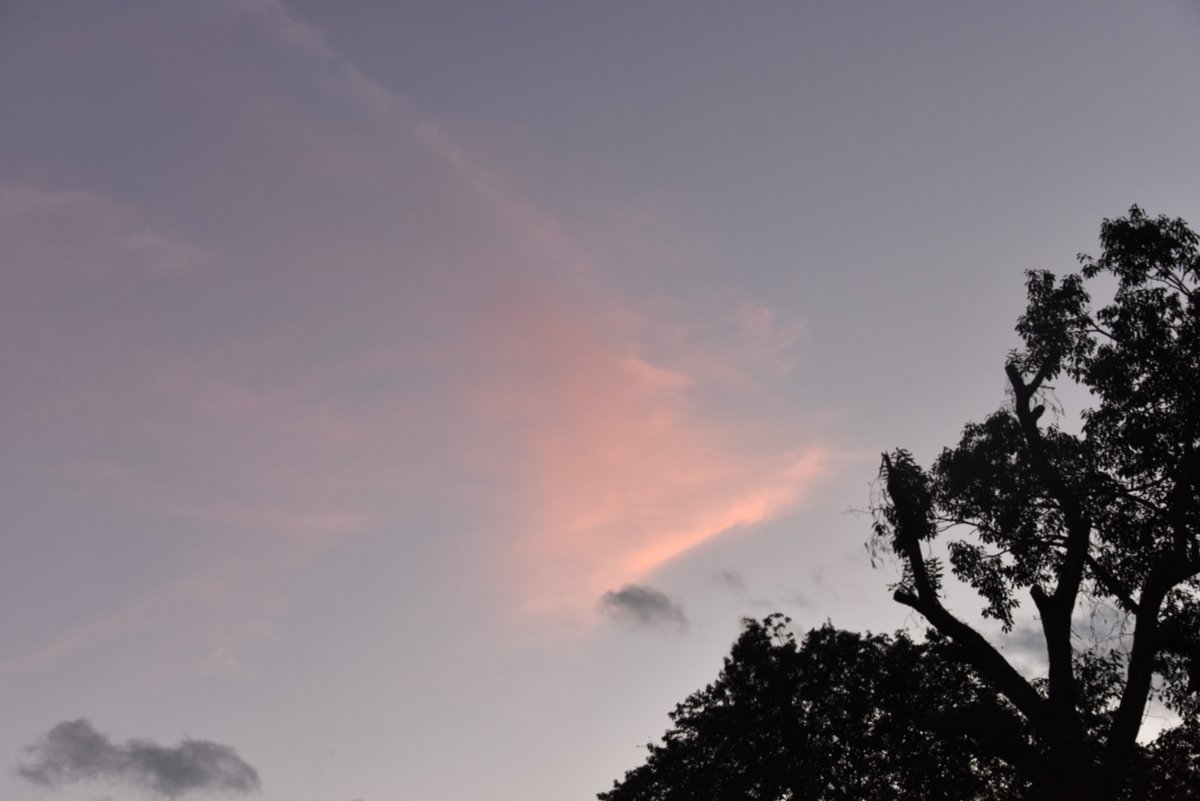toto_kyotanabe's tweet photo. #イマソラ なので！ https://t.co/6ZfqoySw7W