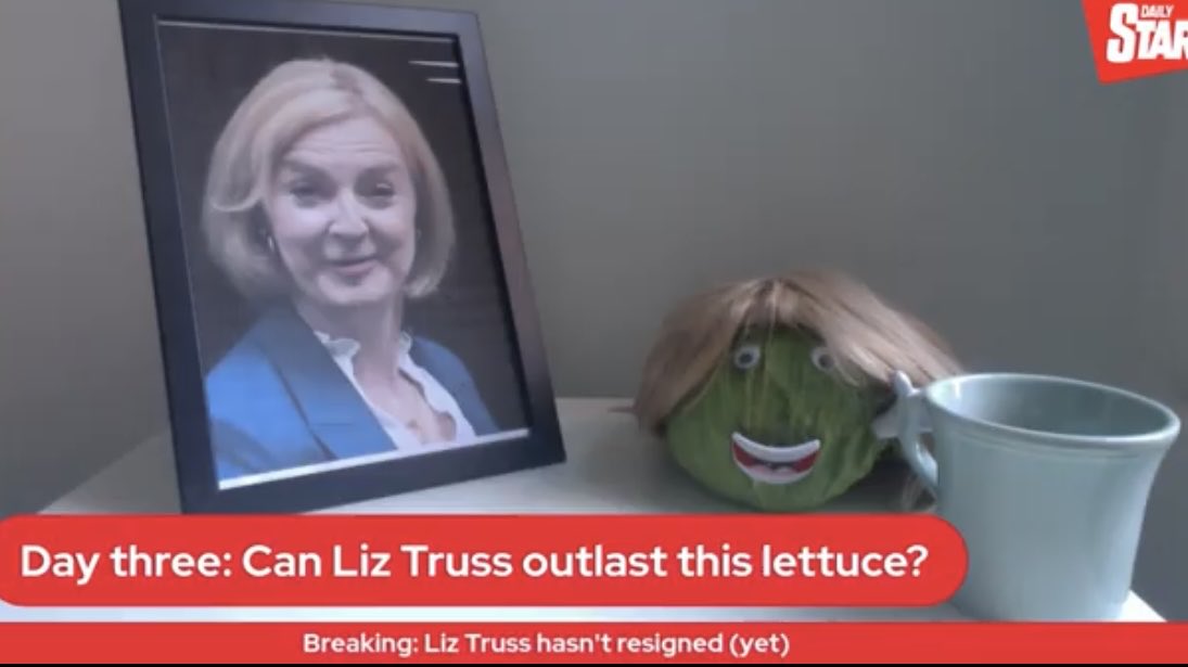 christinalamb tweet media