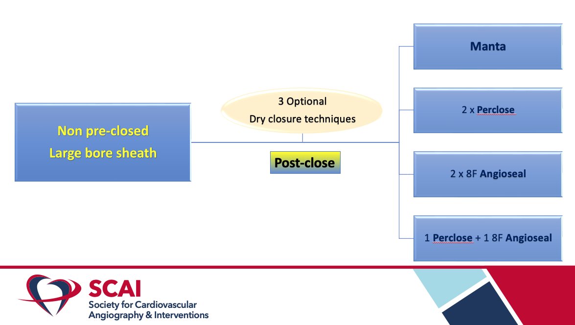 HadyLichaaMD's tweet image. #CathTips on #LargeBoreAccess &amp;amp; #DryClosure

@SukhNijjer @kerrigjl @sbrugaletta @AGoldsweig @behnam_tehrani @NavinKapur4 @adityadoc1 @prkothapalli @monteleoneMD @DrSethdb @timir_paul @KardiologieHH @PCRonline @GoranEBC @DocSavageTJU @jaygirimd @georgedangas @ArasiMaran @ekgpdx