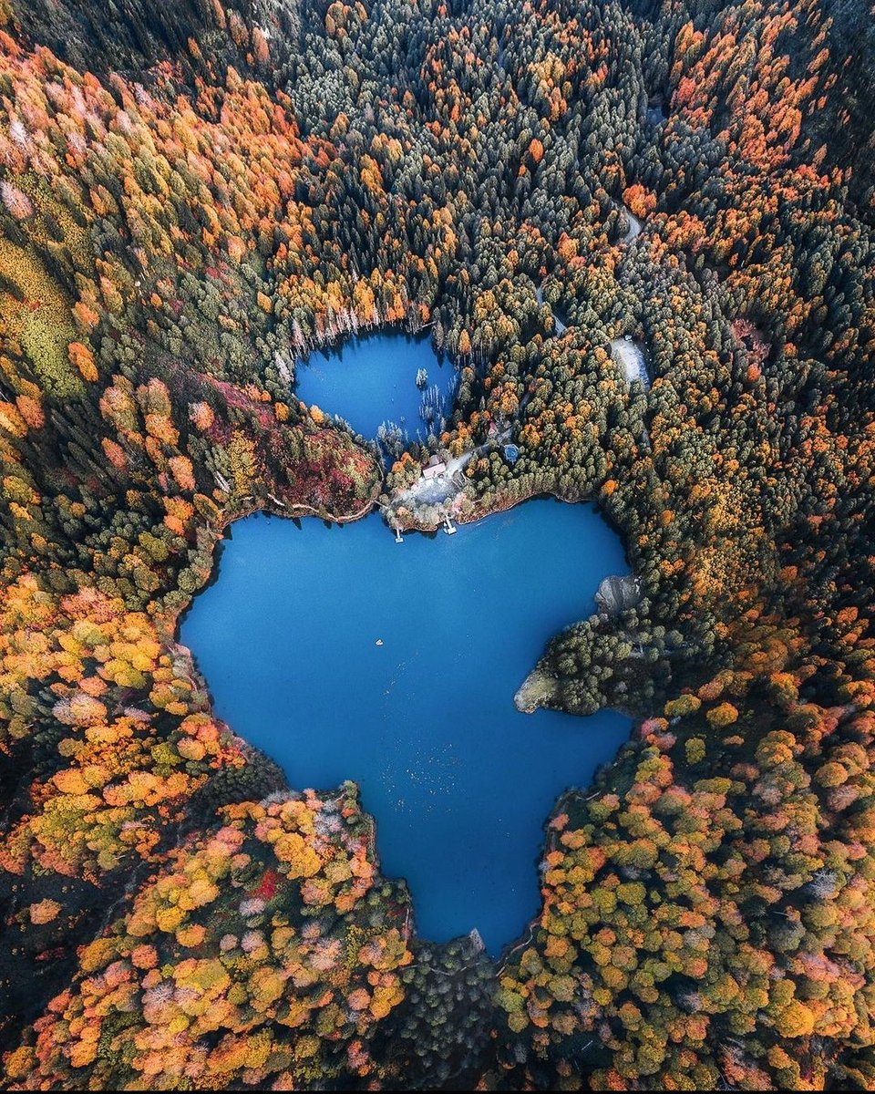 dogadamanzara's tweet photo. Karagöl, Borçka, Artvin

📷  Hasan İlkay Özduman https://t.co/kRkRfdDWRL