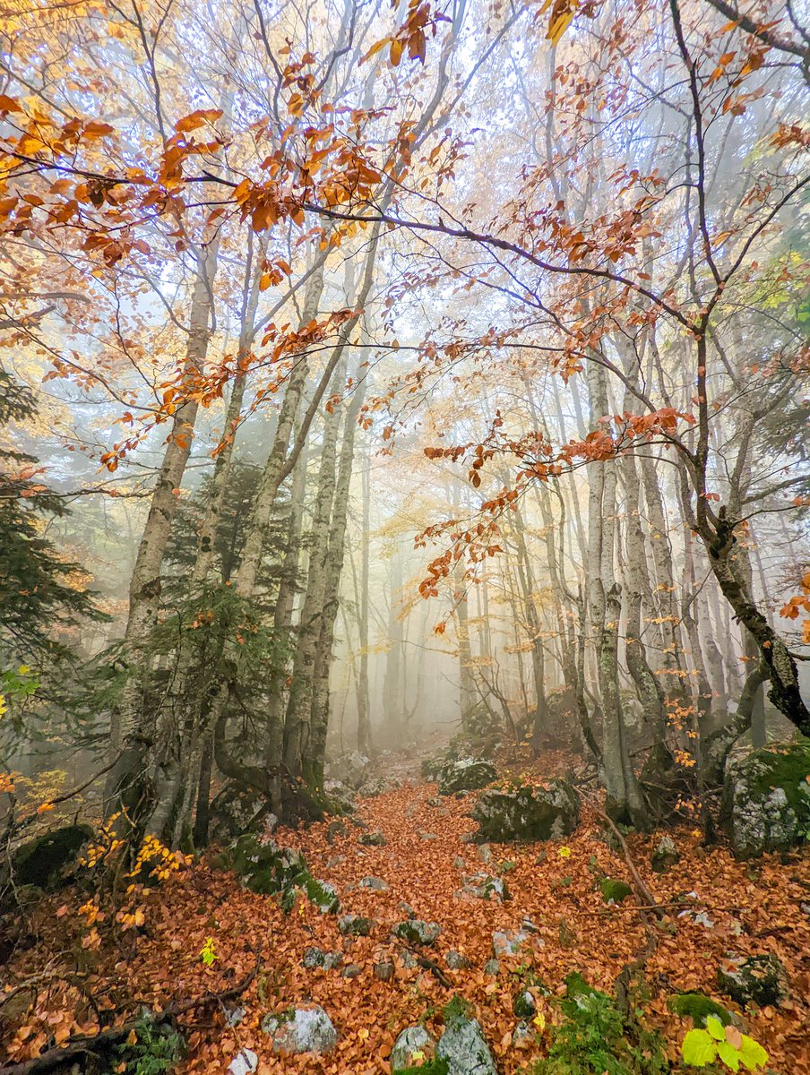 granit_temaj's tweet photo. Albanian Alps in 4 days 🇦🇱

#Albania #hiking #autumn https://t.co/i0AP6AeDxA