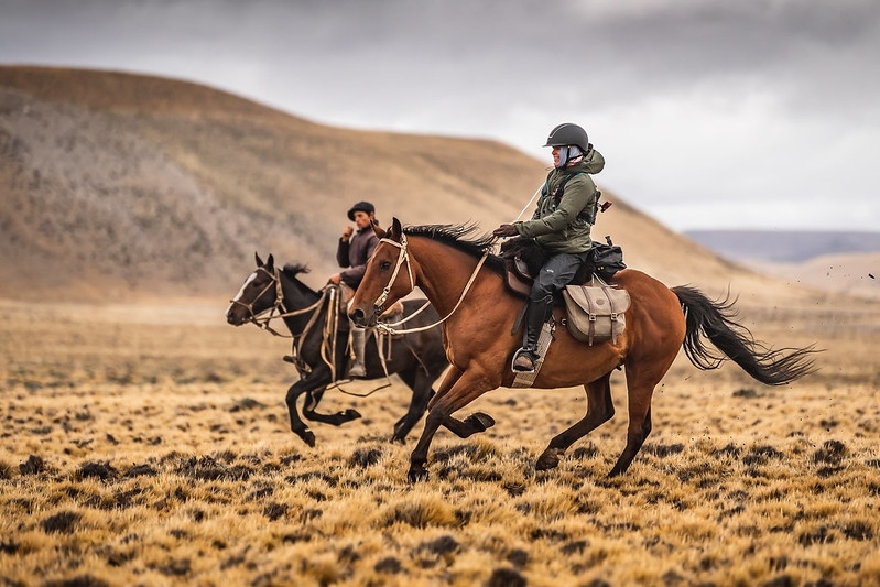 gauchoderby's tweet image. Carly Tansil going toe to toe against Gaucho Brian Poklepovic in a bit of a race off during the Gaucho Derby Training Academy.

Wanna learn more about our Academies, have a gander via this link: 

equestrianists.com/the-academy/

#GauchoDerby

Photo by: @sarahfarnsworthfieldsports