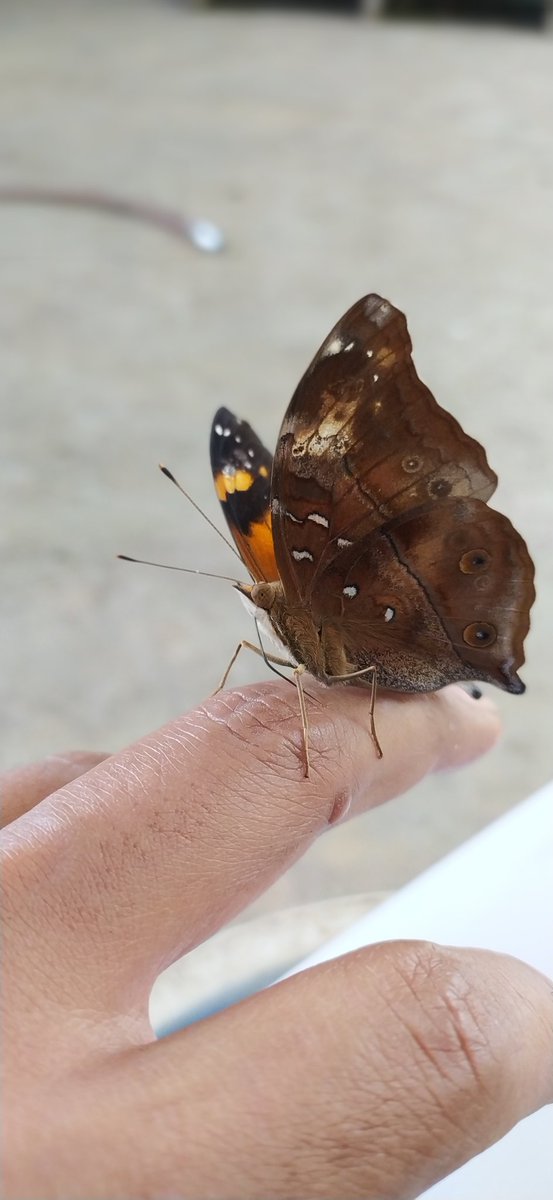 Dia aja bisa tenang.
Masa kamu enda.
#2024